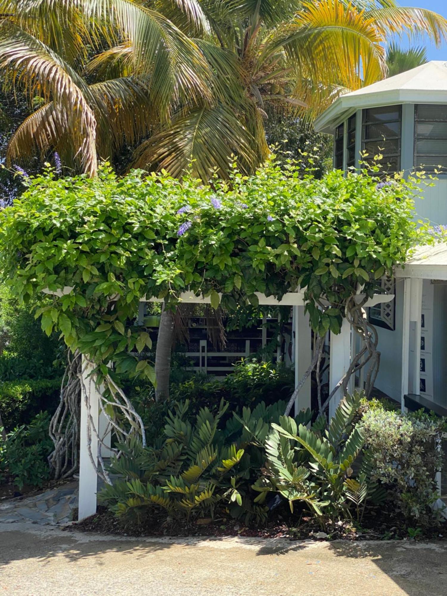 Club Seabourne Hotel Isla Culebra Exterior foto
