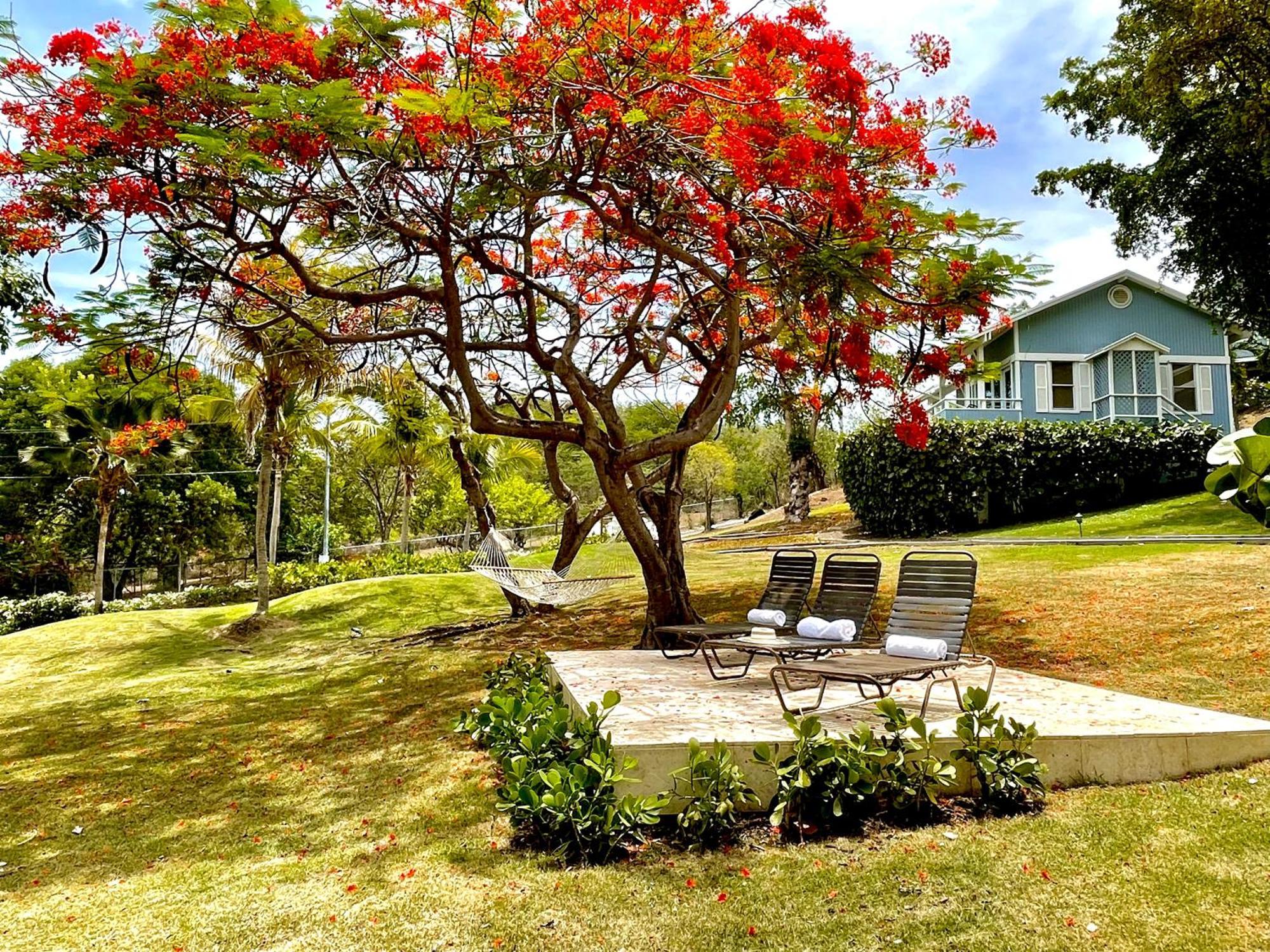 Club Seabourne Hotel Isla Culebra Exterior foto